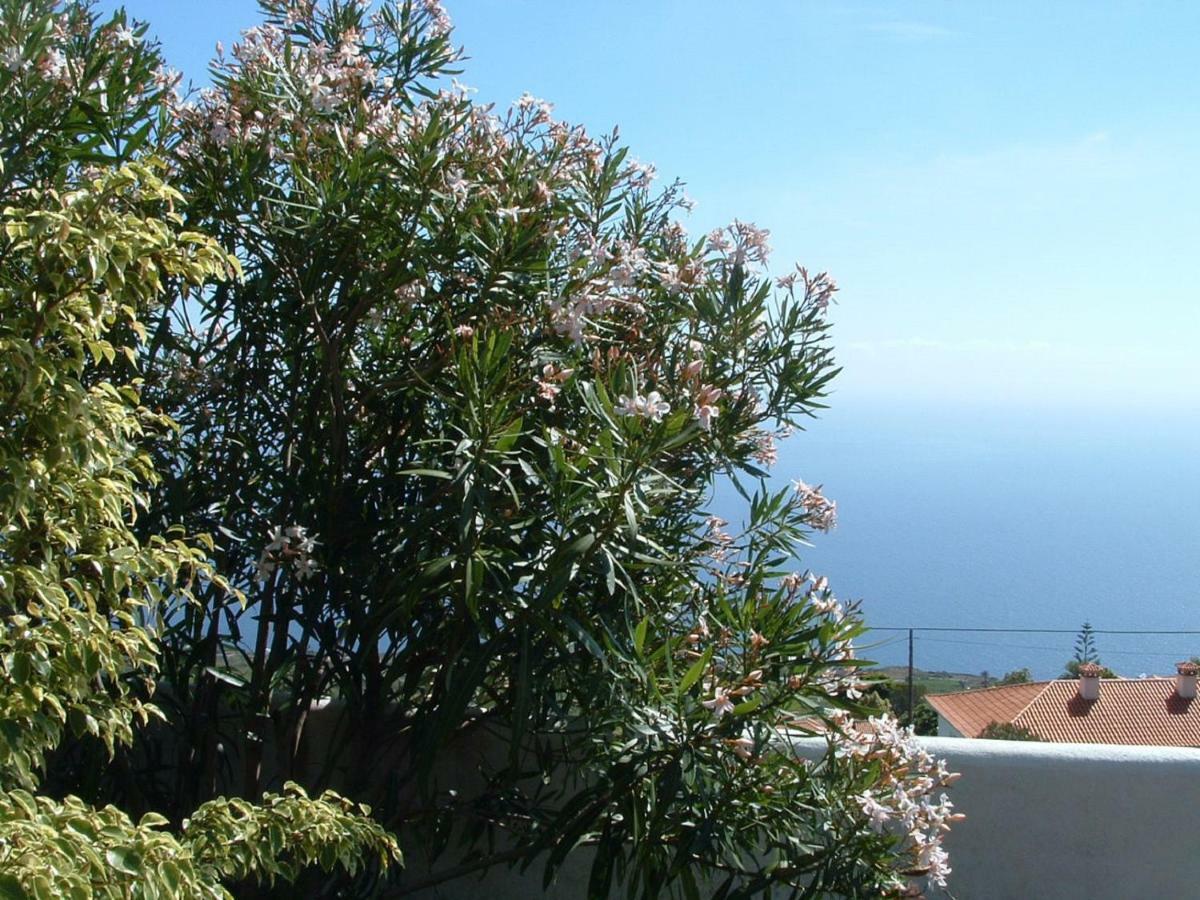 Casa Los Viñedos B Fuencaliente de la Palma Exterior foto